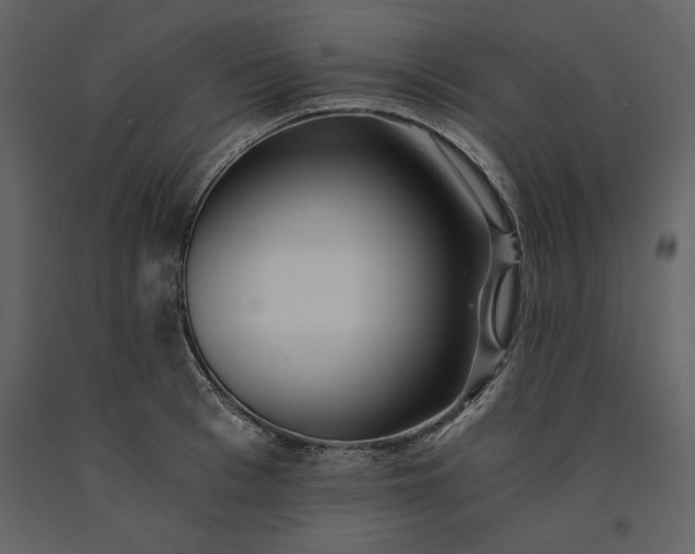 X0000091220993200708231626