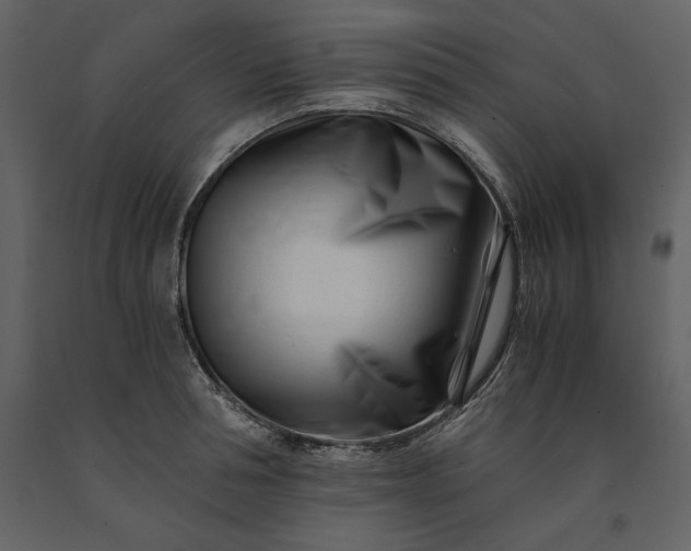 X0000091220994200708231626