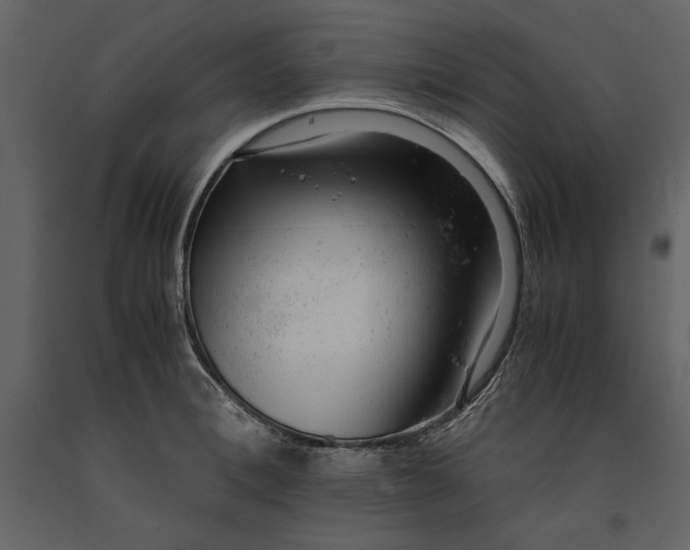 X0000091220996200708231626