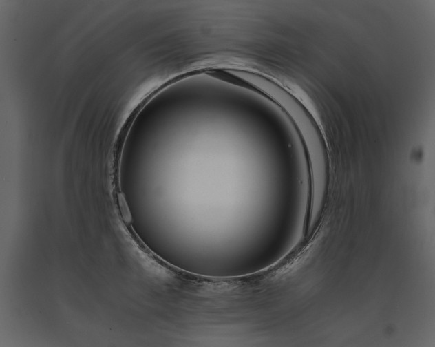 X0000091220997200708231626