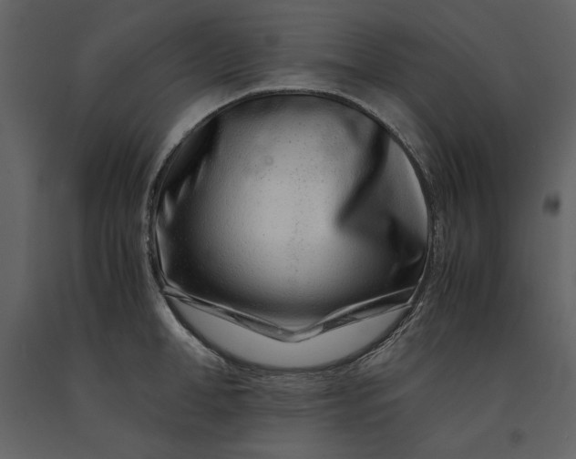 X0000091220998200708231626