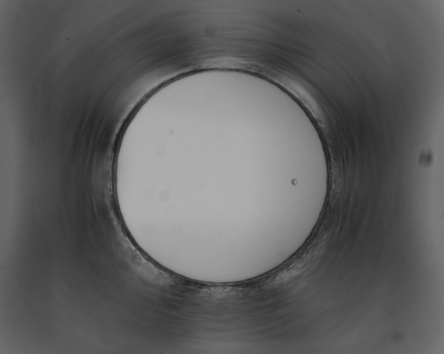 X0000091221000200708231626