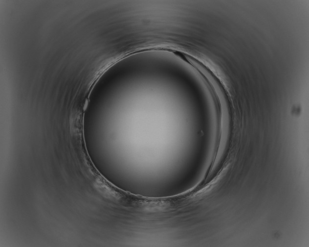 X0000091221001200708231626