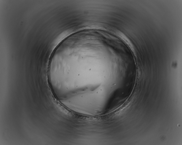 X0000091221002200708231626