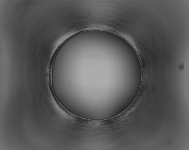 X0000091221003200708231626