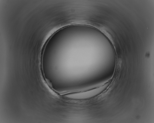 X0000091221005200708231626