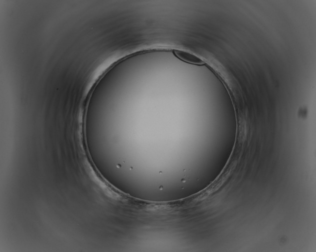 X0000091221006200708231626