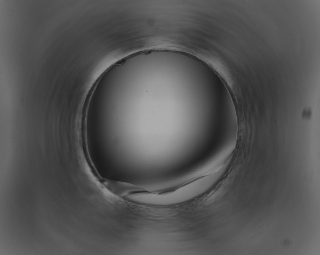 X0000091221007200708231626