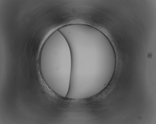 X0000091221008200708231626