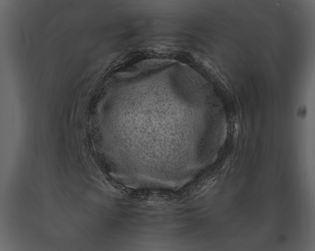 X0000091221009200708231625