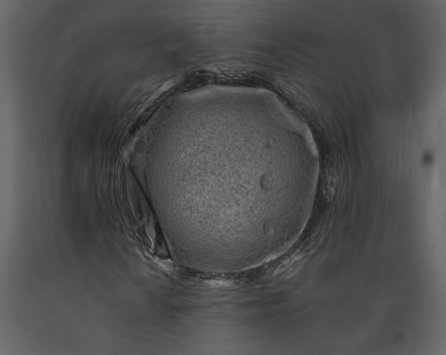 X0000091221010200708231625