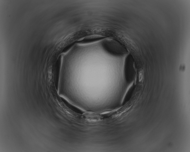 X0000091221011200708231625