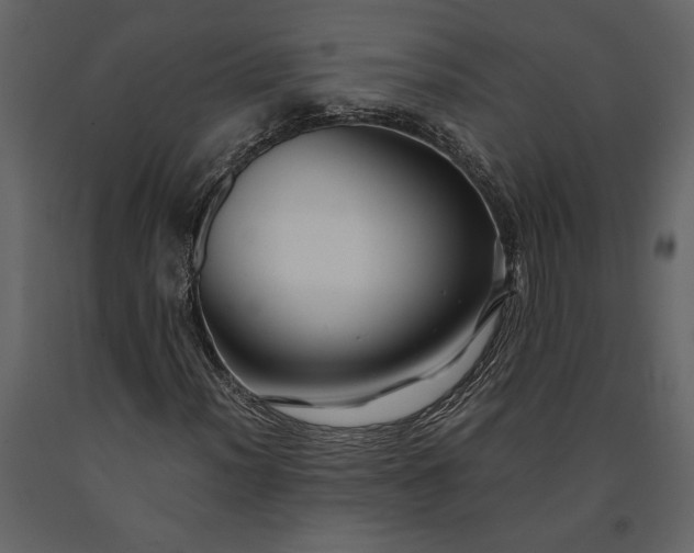 X0000091221012200708231625