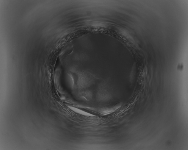 X0000091221013200708231625