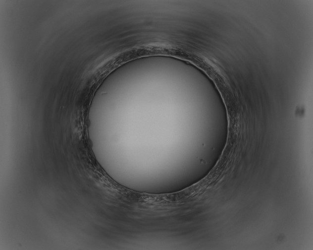 X0000091221015200708231626