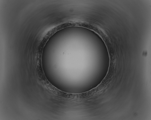 X0000091221016200708231626