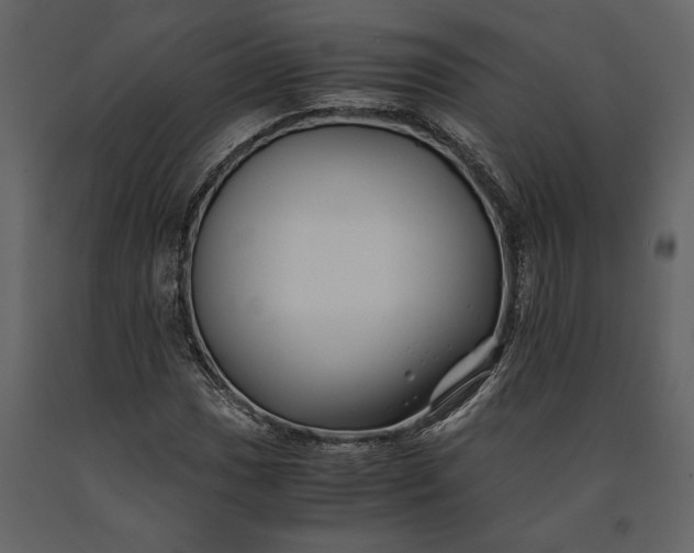 X0000091221017200708231626