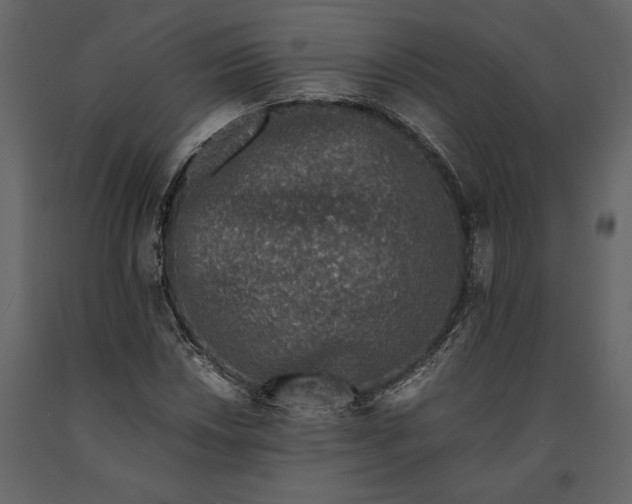 X0000091221018200708231626