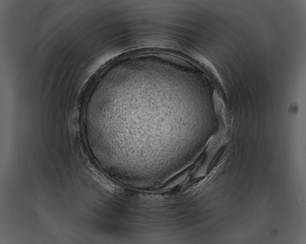 X0000091221019200708231626