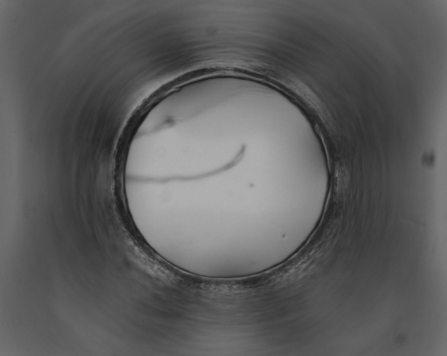 X0000091221020200708231626