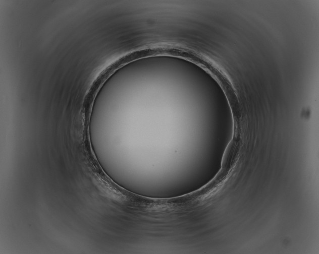 X0000091221021200708231626