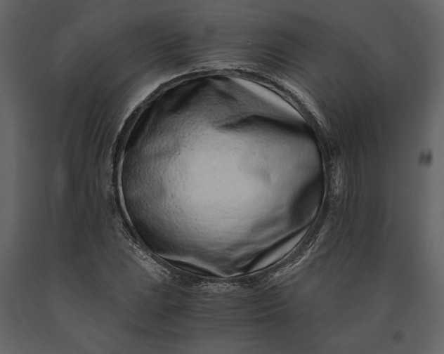 X0000091221023200708231626