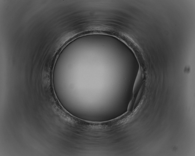 X0000091221025200708231626