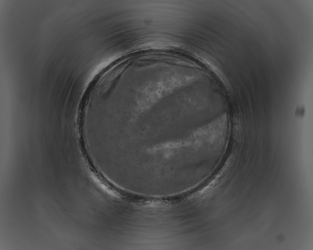 X0000091221026200708231626