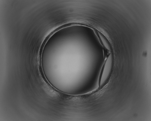 X0000091221028200708231626