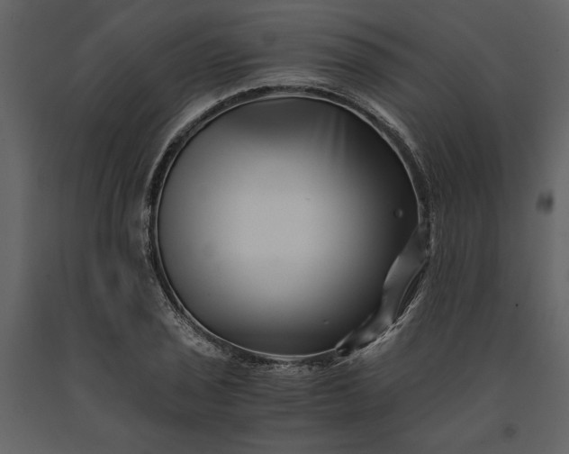 X0000091221029200708231626