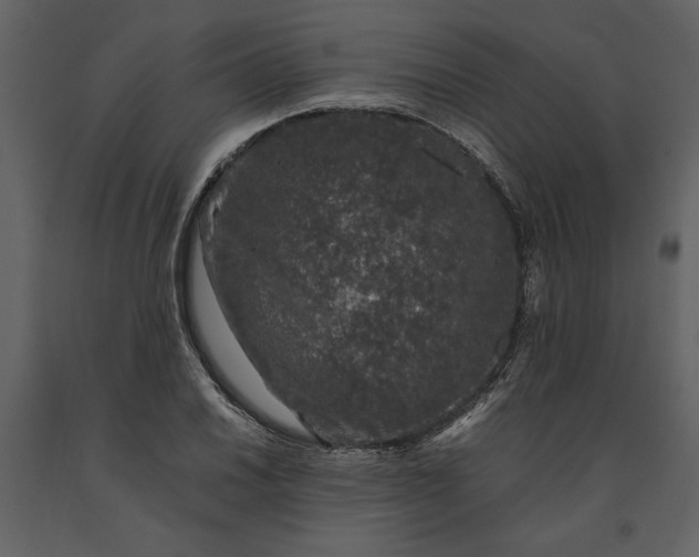 X0000091221030200708231626