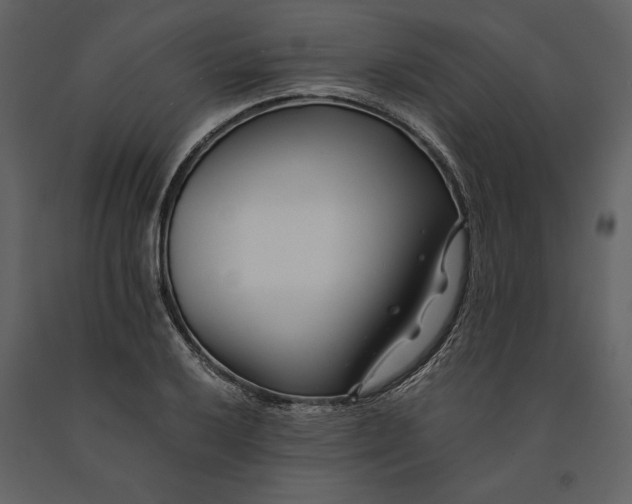 X0000091221032200708231626