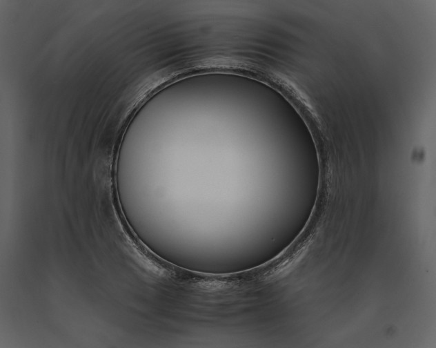 X0000091221033200708231626