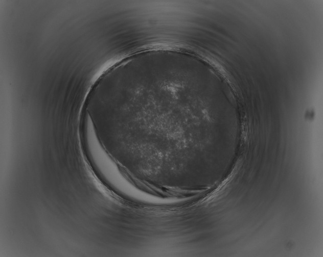 X0000091221034200708231626