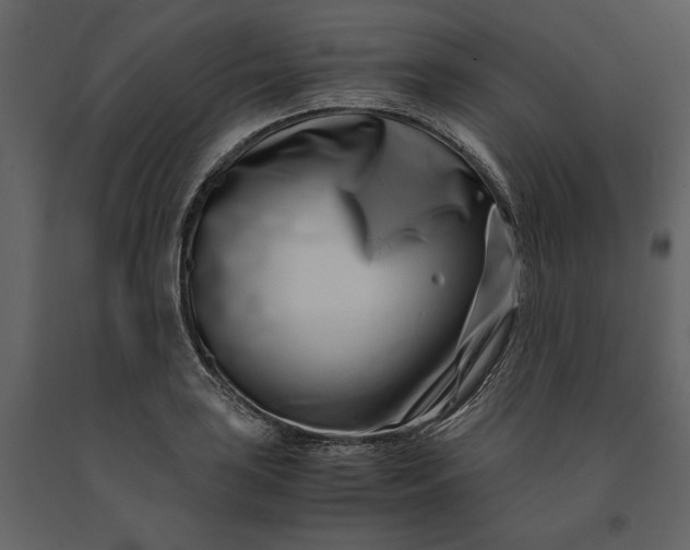 X0000091221035200708231626