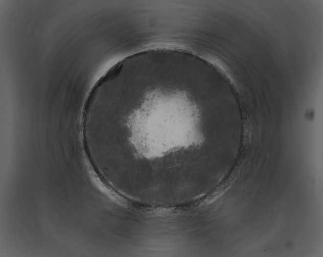 X0000091221038200708231626