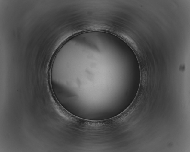 X0000091221039200708231626