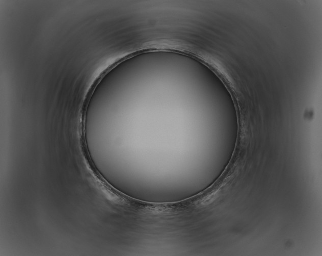 X0000091221040200708231626