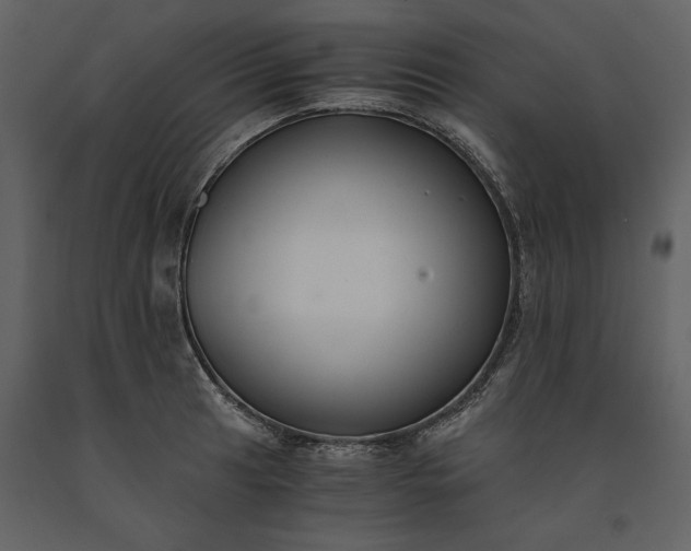 X0000091221041200708231626