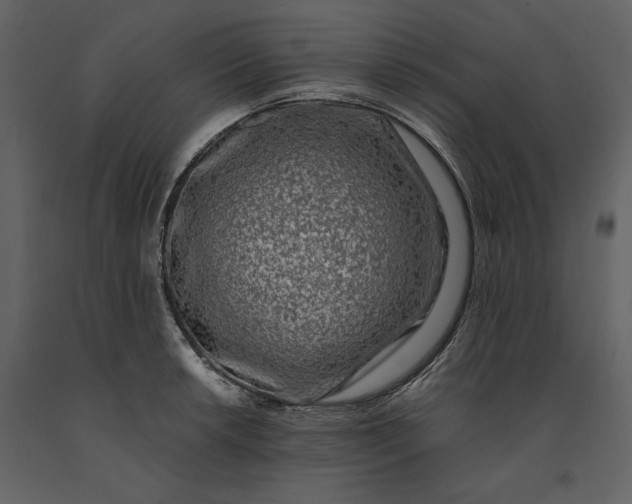 X0000091221042200708231626