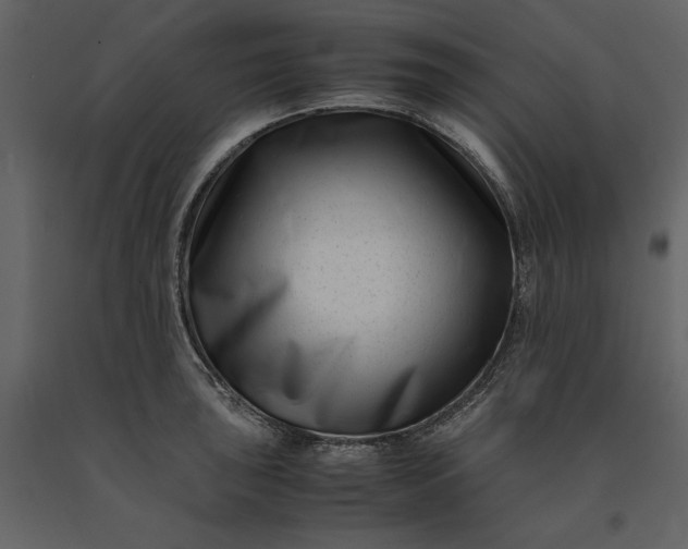 X0000091221043200708231626