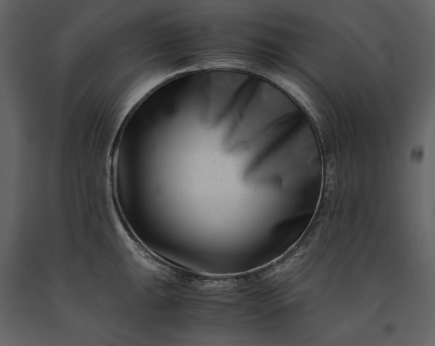 X0000091221047200708231626