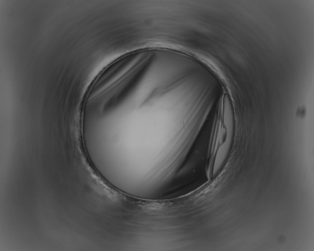 X0000091221048200708231626