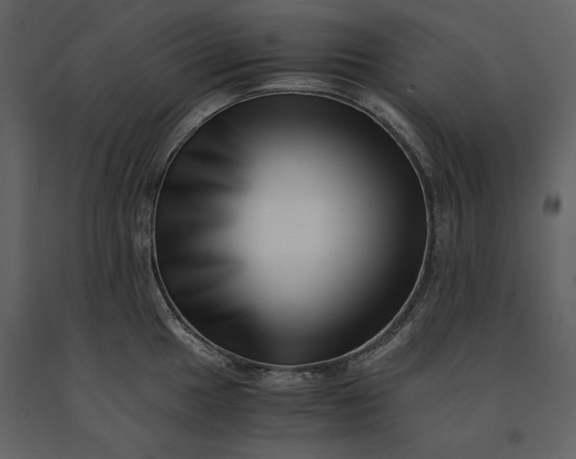 X0000091221049200708231626