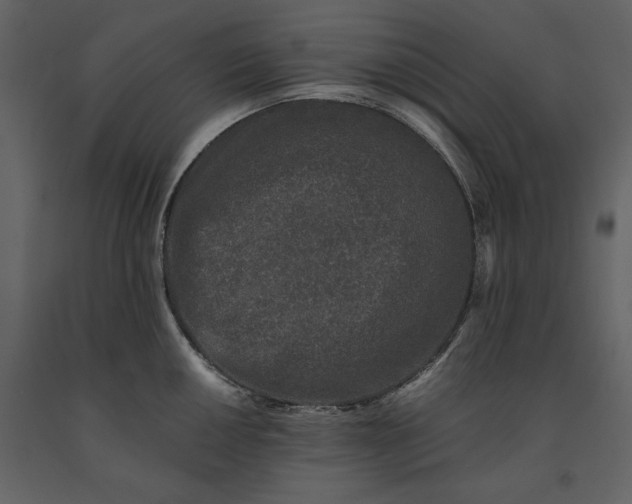 X0000091221050200708231626