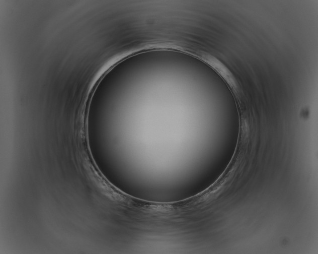 X0000091221052200708231626