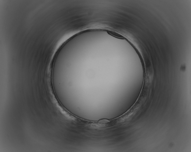 X0000091221053200708231626