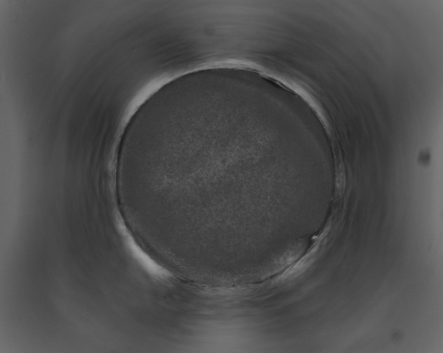 X0000091221054200708231626