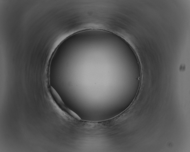 X0000091221056200708231626