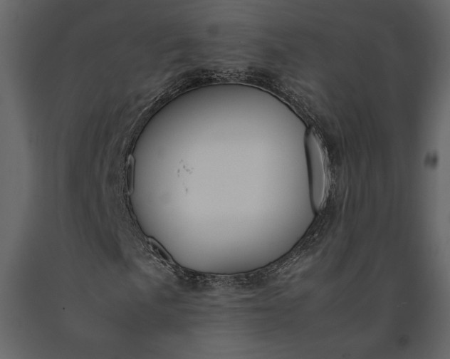 X0000091221057200708231625